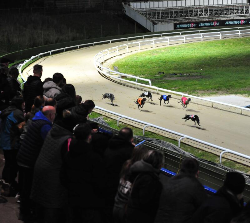The crowd watch the greyhound racing at Central Park