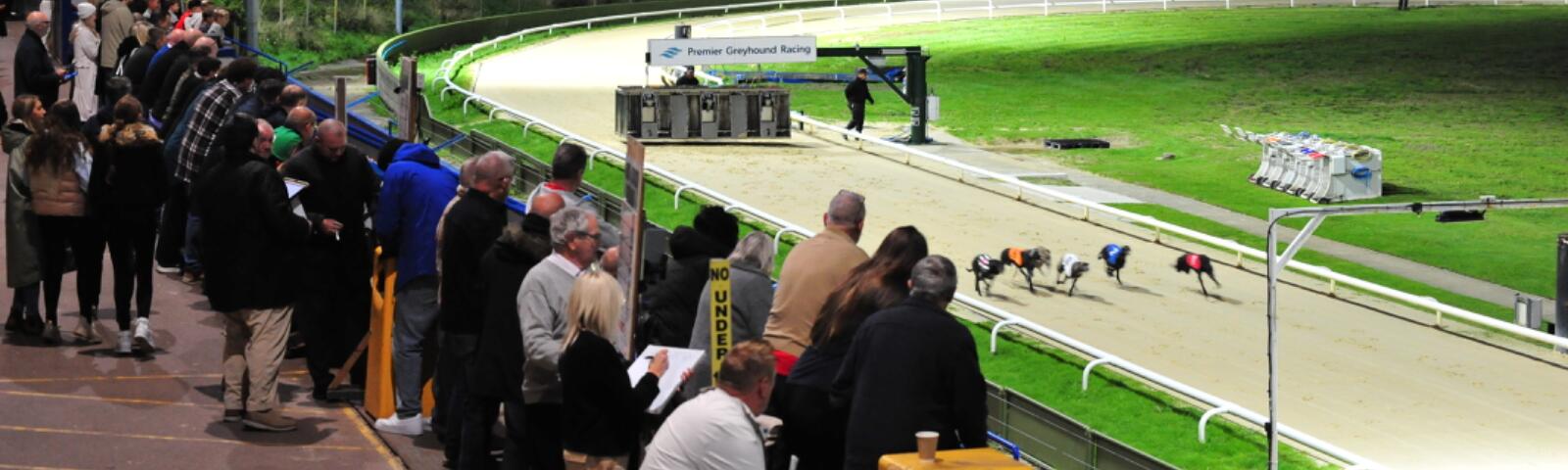 Trackside views of greyhound racing at Central Park Greyhounds.