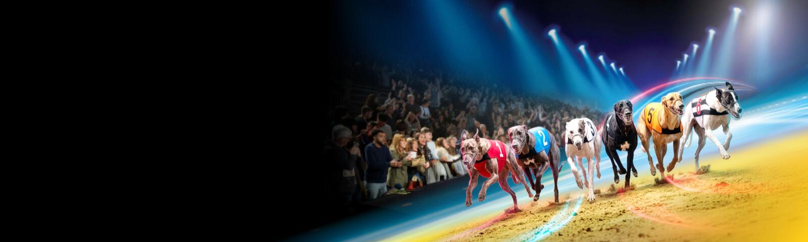 ultimate racenights 2026