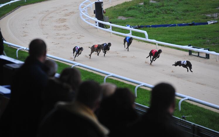 Greyhound racing at Central Park.