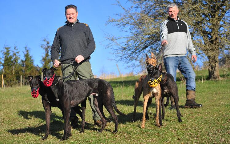 Greyhound trainers Chris (left) and Phil Hamblin.