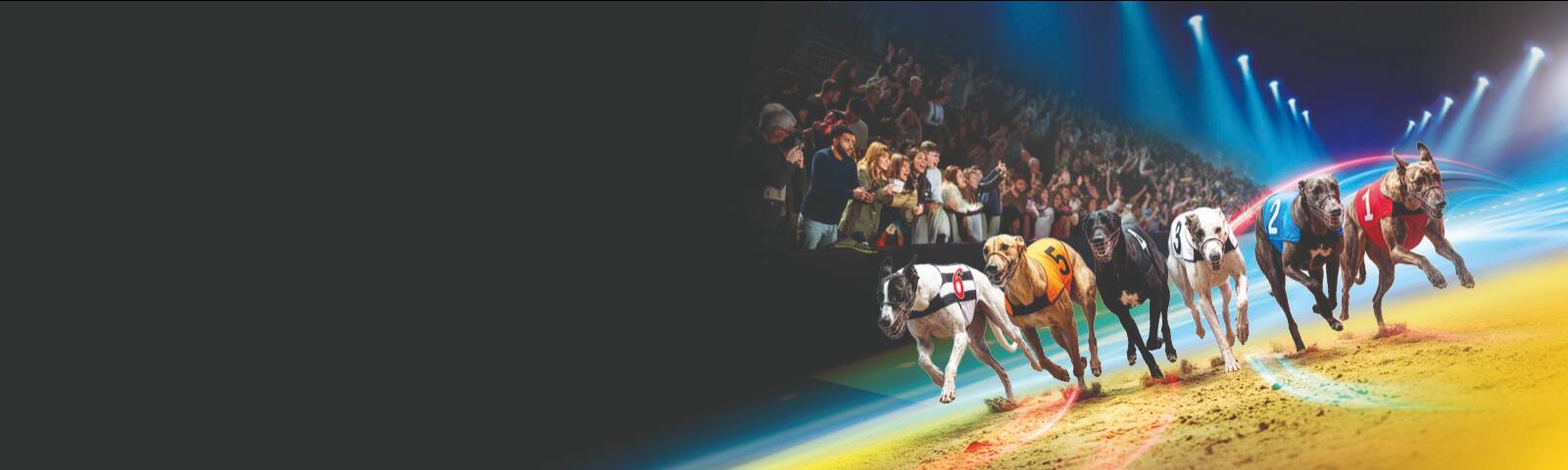 silver salver free admission and drink