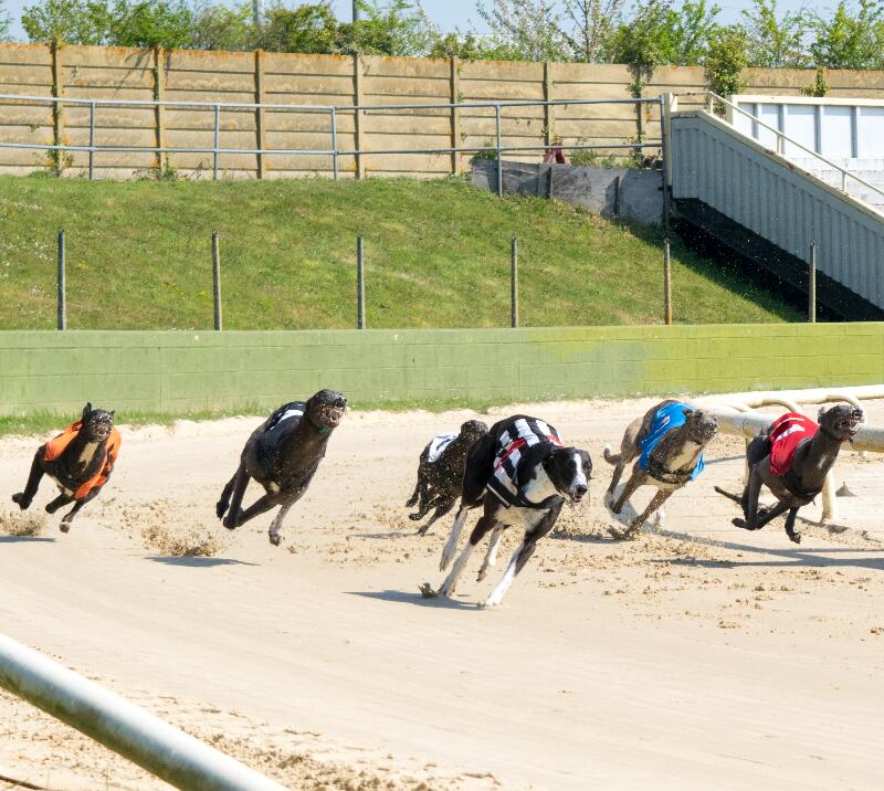 Race Sponsorship