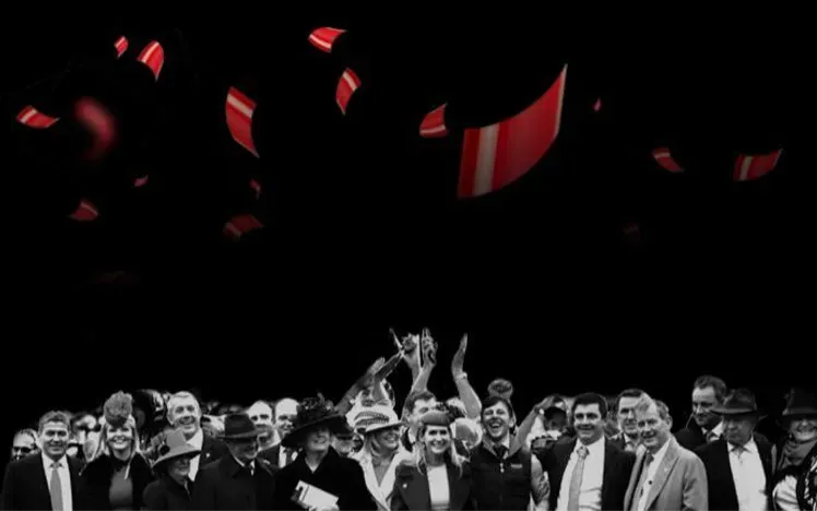 Black Friday Campaign Artwork